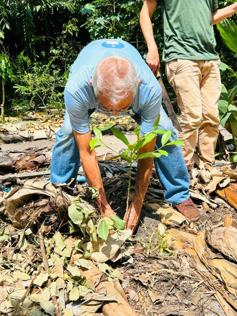 Projeto Agrofloresta